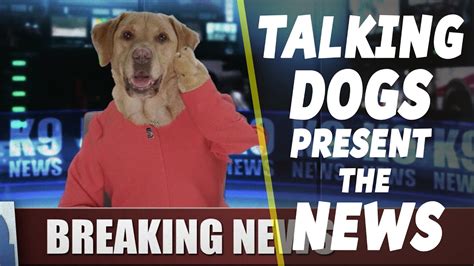 Talking Dogs News .